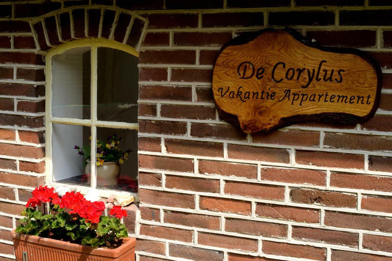 De Corylus Vakantie Appartement Oosterhesselen Exteriér fotografie